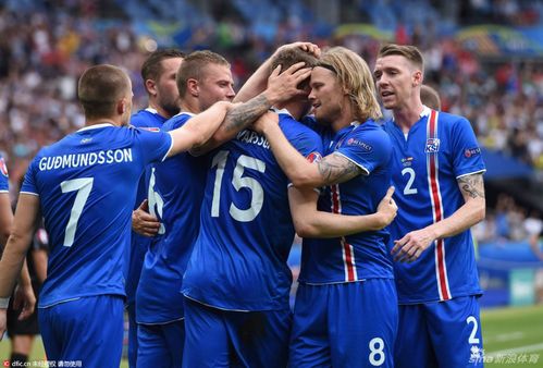 2016冰岛欧洲杯(2016年欧洲杯冰岛国家队怎么了)